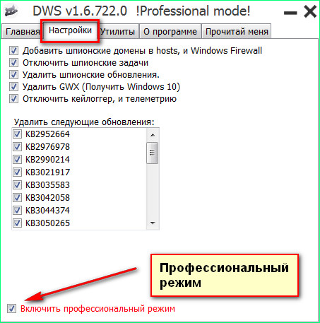 Как включить Профессиональный режим в программе Destroy Windows 10 Spying